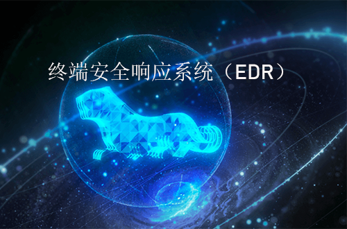 奇安信终端安全响应系统（EDR）