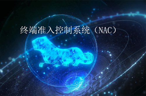奇安信终端准入控制系统（NAC）