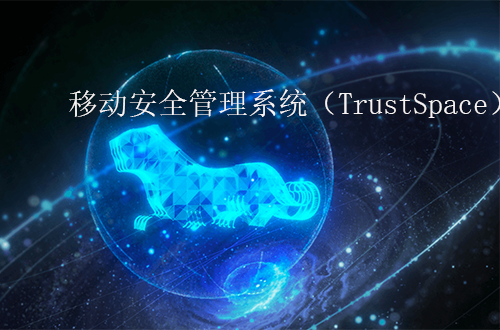 奇安信移动安全管理系统（TrustSpace）