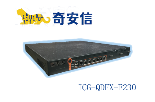 奇安信网康上网行为管理ICG-QDFX-F230